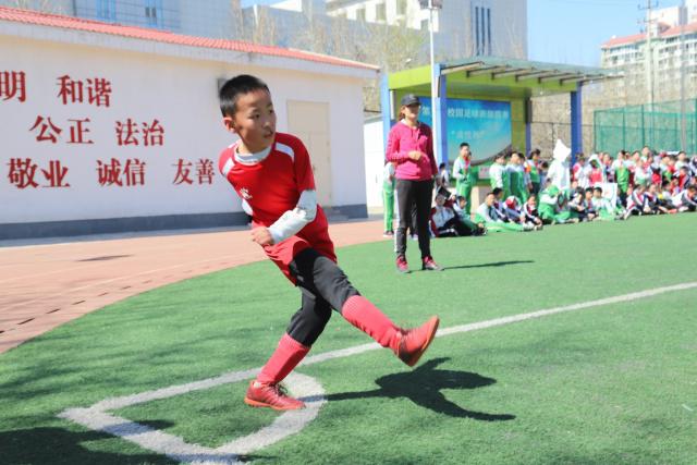 勒沃库森想留下从拜仁租借来的后卫斯坦尼西奇